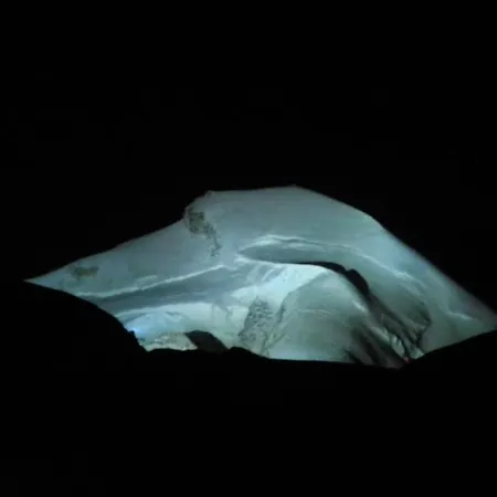 Haus Aiglon * Saas Fee